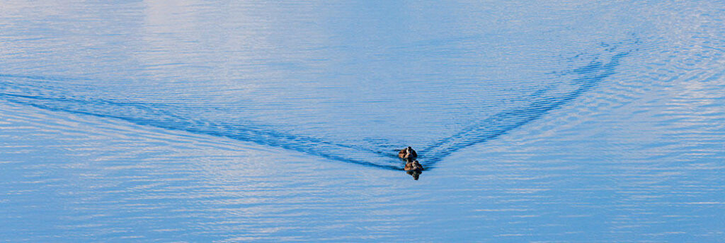 2023年2月アップデートのお知らせ