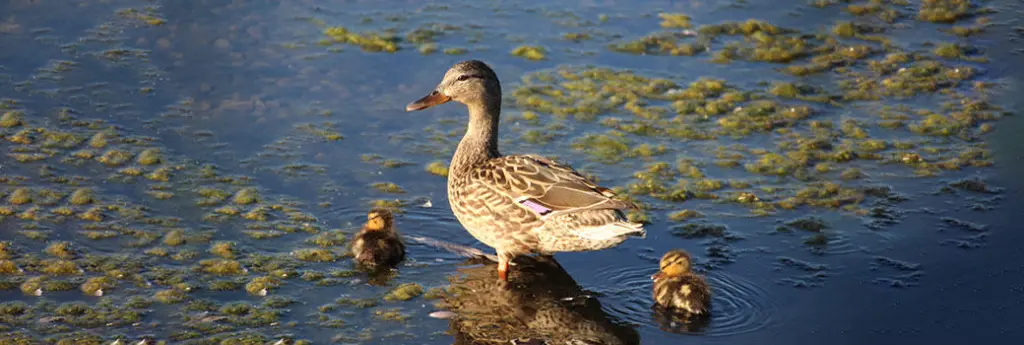 2023年12月アップデートのお知らせ