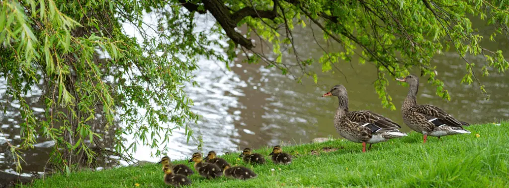 2025年6月アップデートのお知らせ