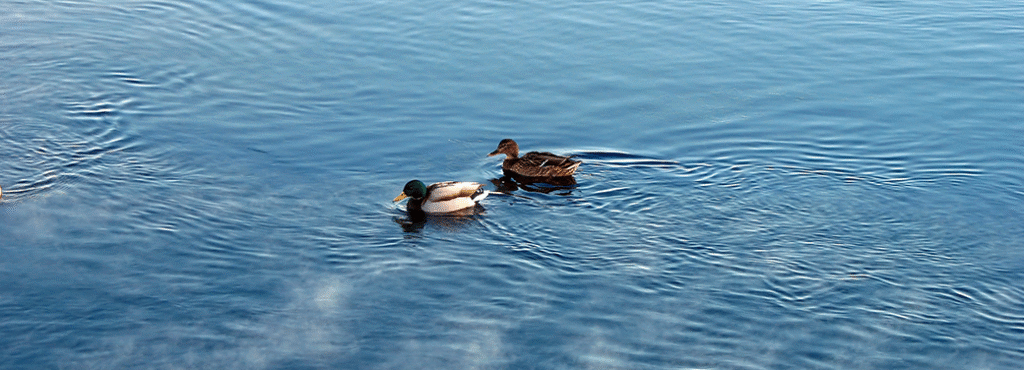 2024年2月アップデートのお知らせ