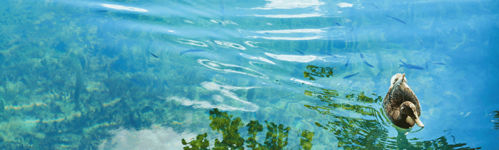 2024年7月アップデートのお知らせ