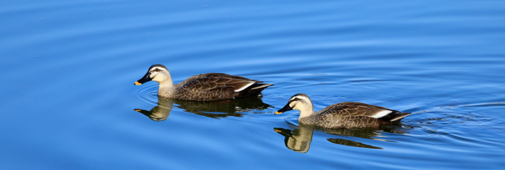 2023年8月アップデートのお知らせ